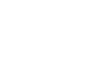 Logo IDV Sports Summit